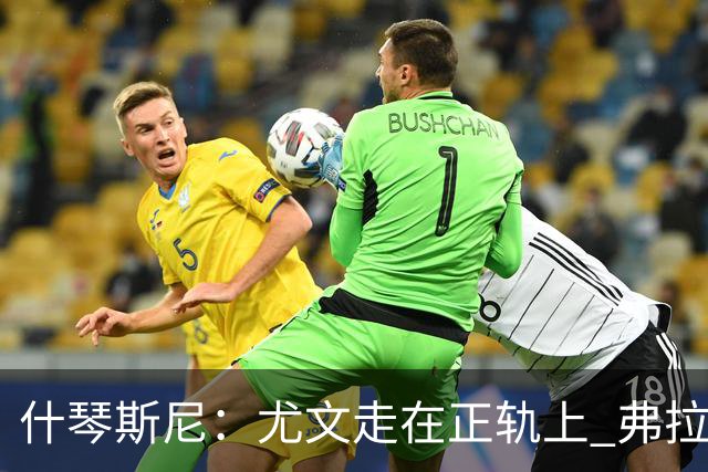 什琴斯尼：尤文走在正轨上 弗拉霍维奇非常出色