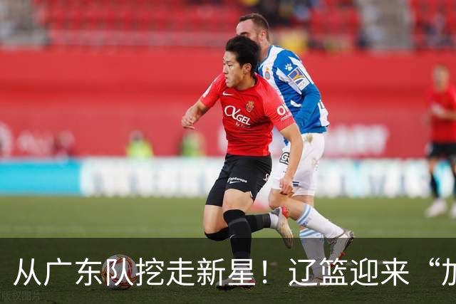 从广东队挖走新星！辽篮迎来“加强版杜润旺”，杜锋失去锋线人才