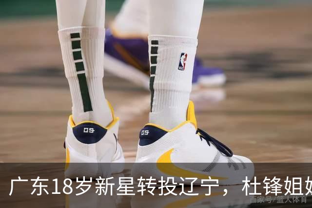 广东18岁新星转投辽宁，杜锋姐姐当选篮协副会长，2后卫试训新疆，广厦外援接受归化