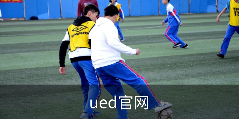 了解ued官网